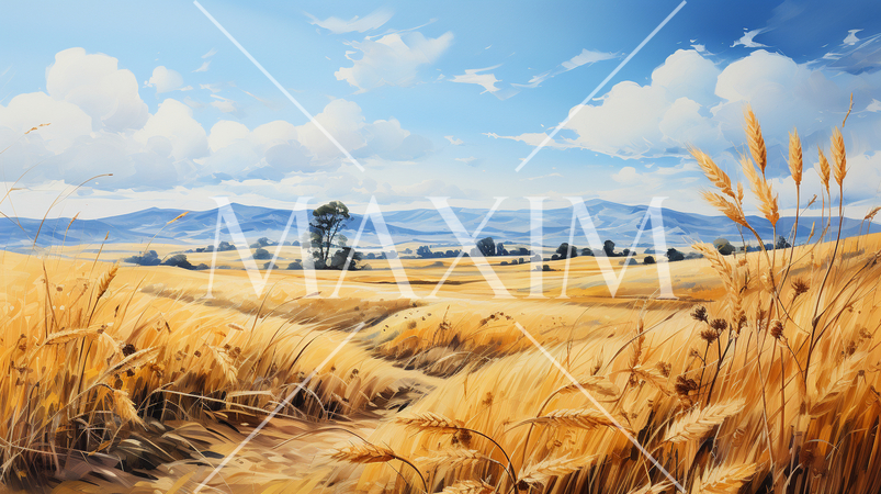 ウクライナの国旗にもなっている原風景：広大な小麦畑の上に青い空が広がっている