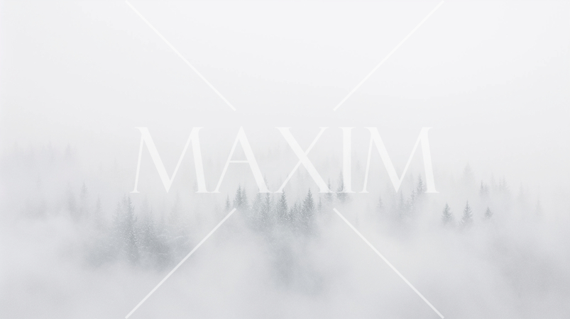 濃い霧や吹雪でホワイトアウト状態の杉林