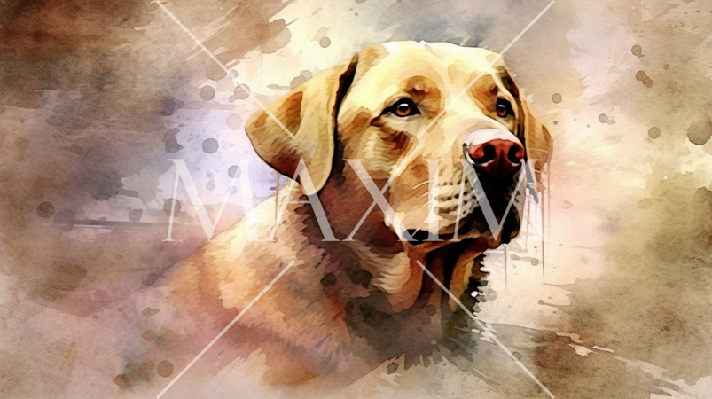 ラブラドール・レトリバーの水彩画