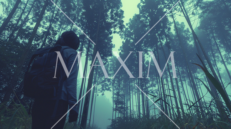 気味の悪い竹林に迷い込んだ若い女性