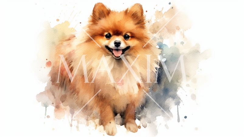 ポメラニアンの水彩画