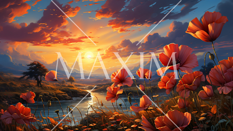 夕暮れ時のポピー畑