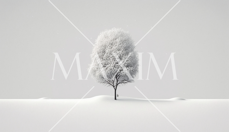 最小要素で表現した凍てつくような雪景色