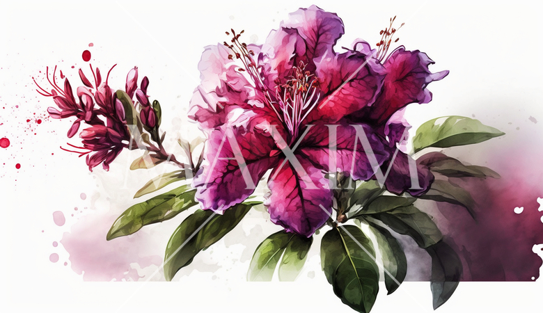 ツツジの花の水彩画