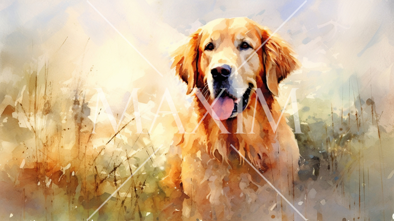 ゴールデン・レトリバー-水彩画