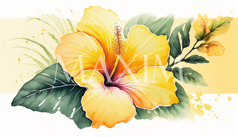 ハイビスカスの花の水彩画