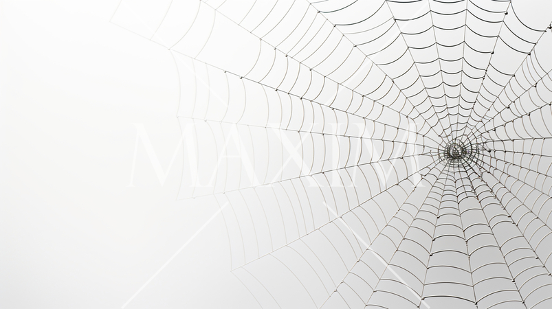 蜘蛛の巣のイメージの背景：精緻CG