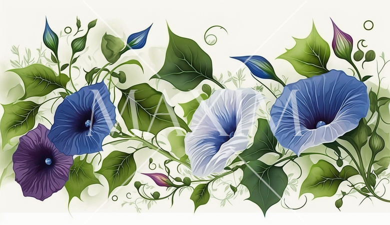 アサガオの花の水彩画