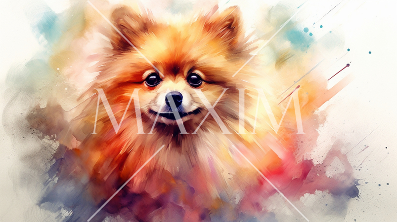 ポメラニアンの水彩画