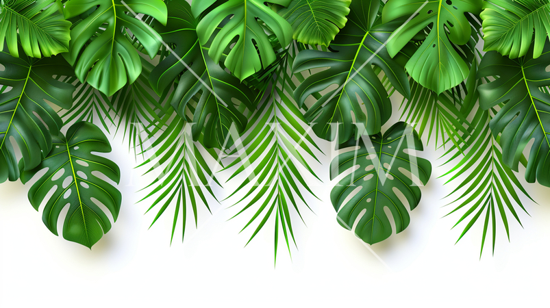 南国の観葉植物の葉によるフレーム：精緻CG