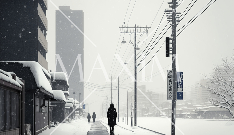 東京の雪の日の朝の静寂