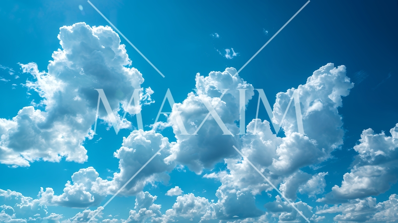 藍色の空と柔らかい積雲